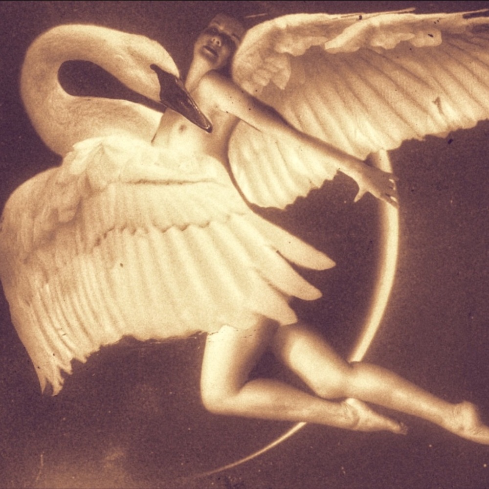 Meet your Posher, Alexandra